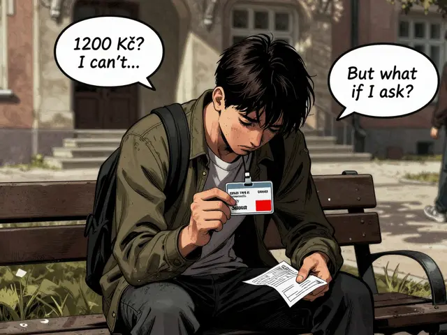 Studenti a psychoterapie: Slevy a dostupné možnosti pro mladé v ČR