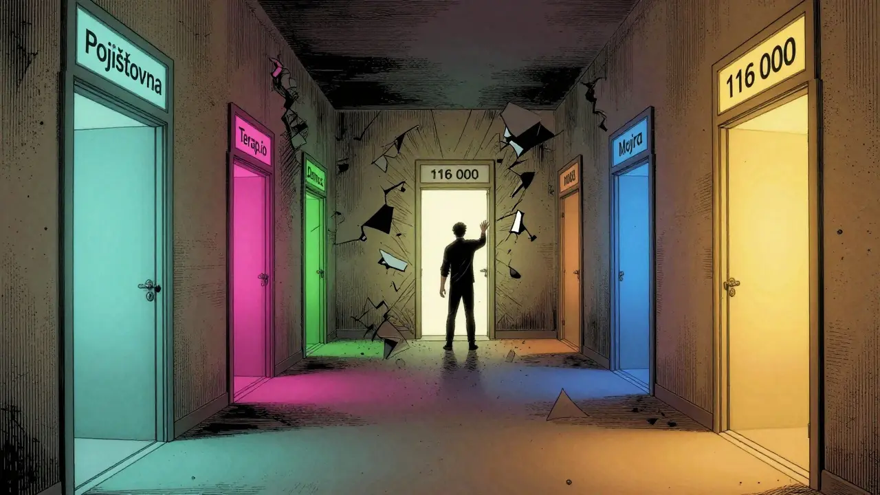Postava stojí před několika svítícími dveřmi s názvy podpůrných služeb, zatímco ostatní dveře zanikají, symbolizující výběr mezi systémy pomoci.